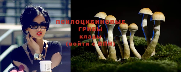 твердый Алзамай