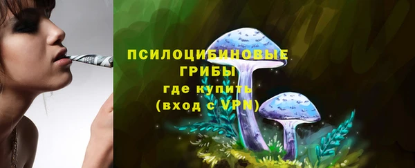 PSILOCYBIN Алексин