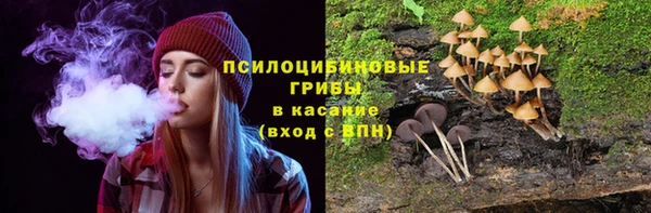 твердый Алзамай