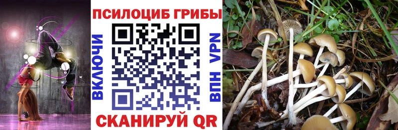 продажа наркотиков  Чистополь  Псилоцибиновые грибы Magic Shrooms 